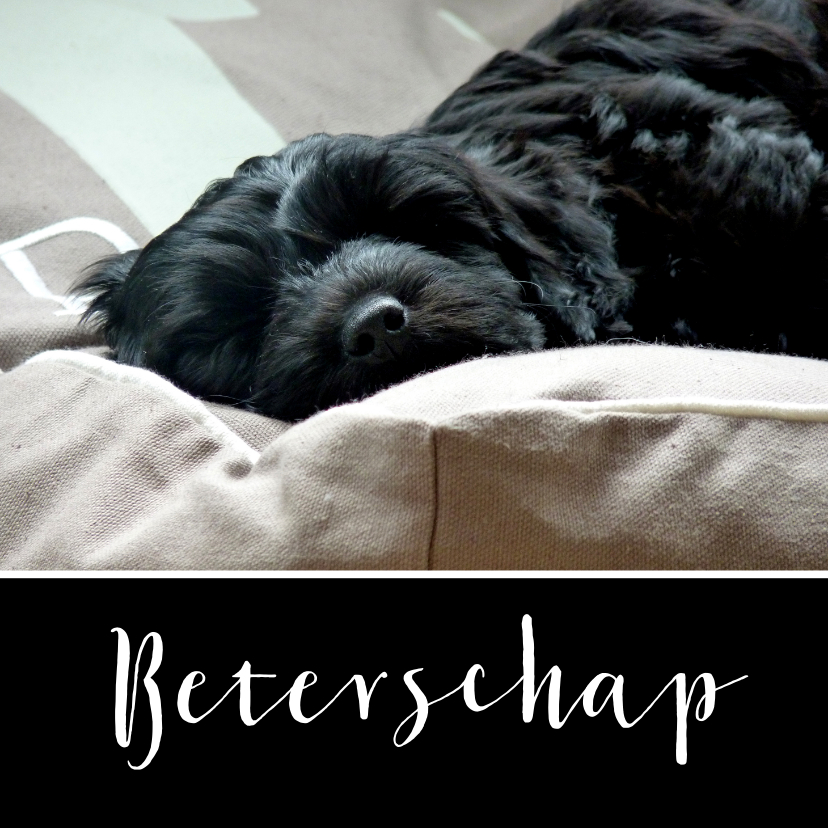 Beterschapskaart slapende hond - Beterschapskaarten Beterschapskaarten - Beterschapskaart slapende hond