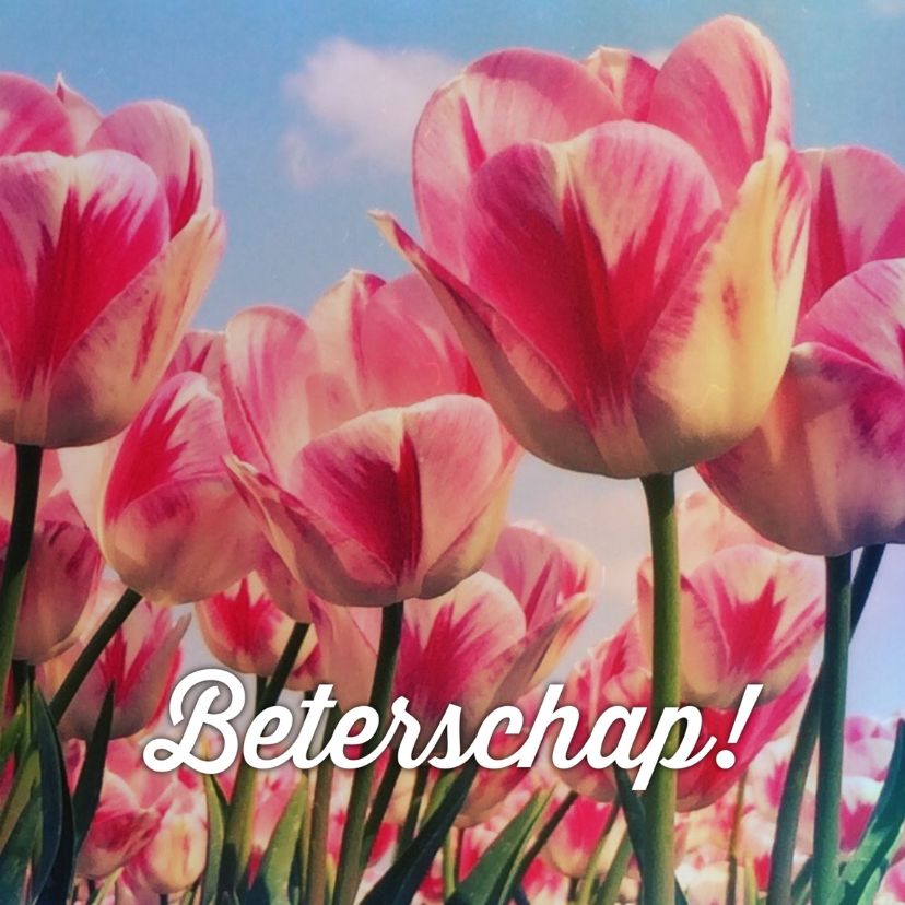 Beterschapskaart tulpen III - LB - Beterschapskaarten Beterschapskaarten - Beterschapskaart tulpen III - LB