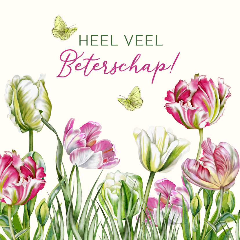 Beterschapskaarten - Beterschapskaart tulpen in het voorjaar