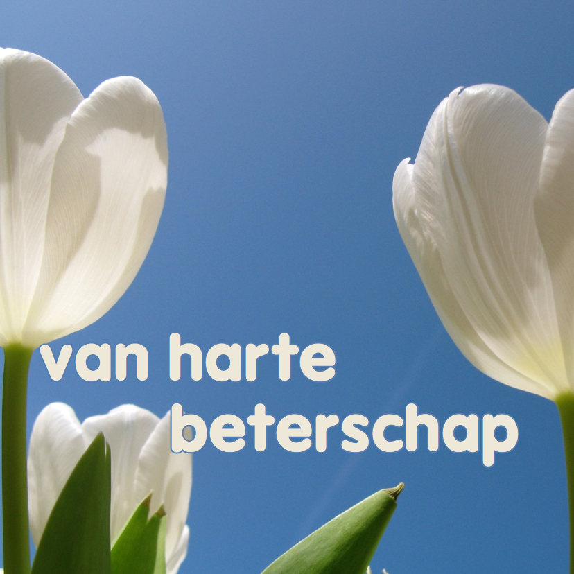 beterschapskaart tulpen VIII -LB - Beterschapskaarten Beterschapskaarten - beterschapskaart tulpen VIII -LB