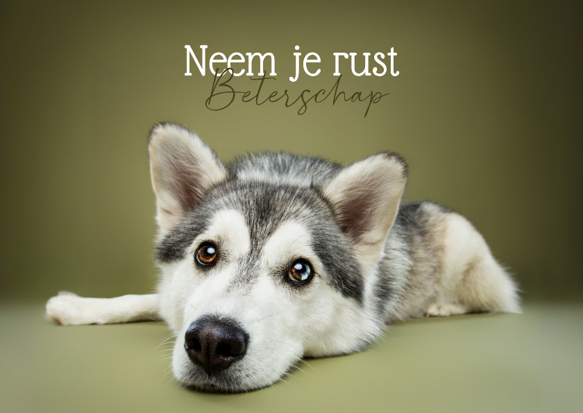 Beterschapskaart van liggend hondje met koppie op grond - Beterschapskaarten Beterschapskaarten - Beterschapskaart van liggend hondje met koppie op grond