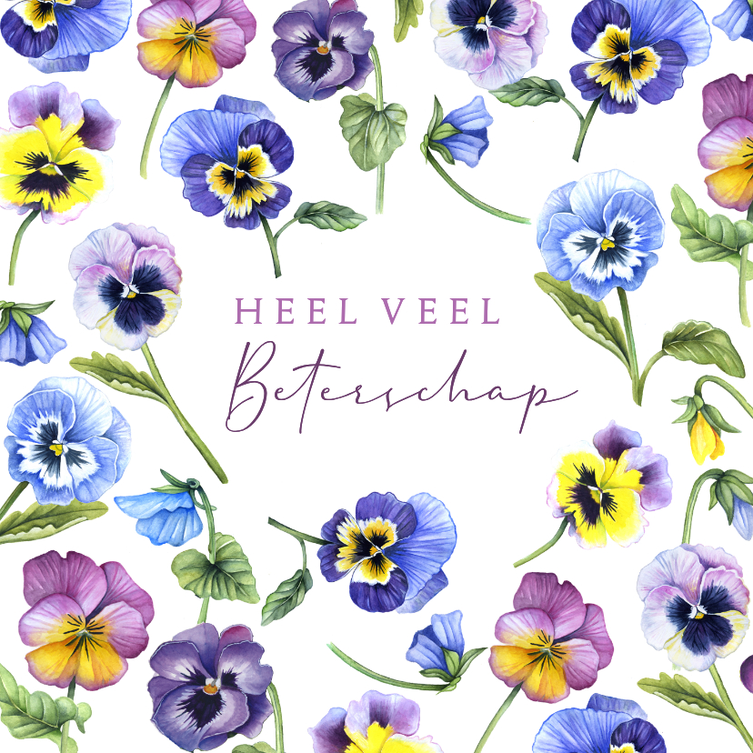 Beterschapskaarten - Beterschapskaart viooltjes