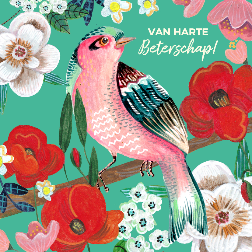 Beterschapskaarten - Beterschapskaart vogel met bloemen kleurrijk