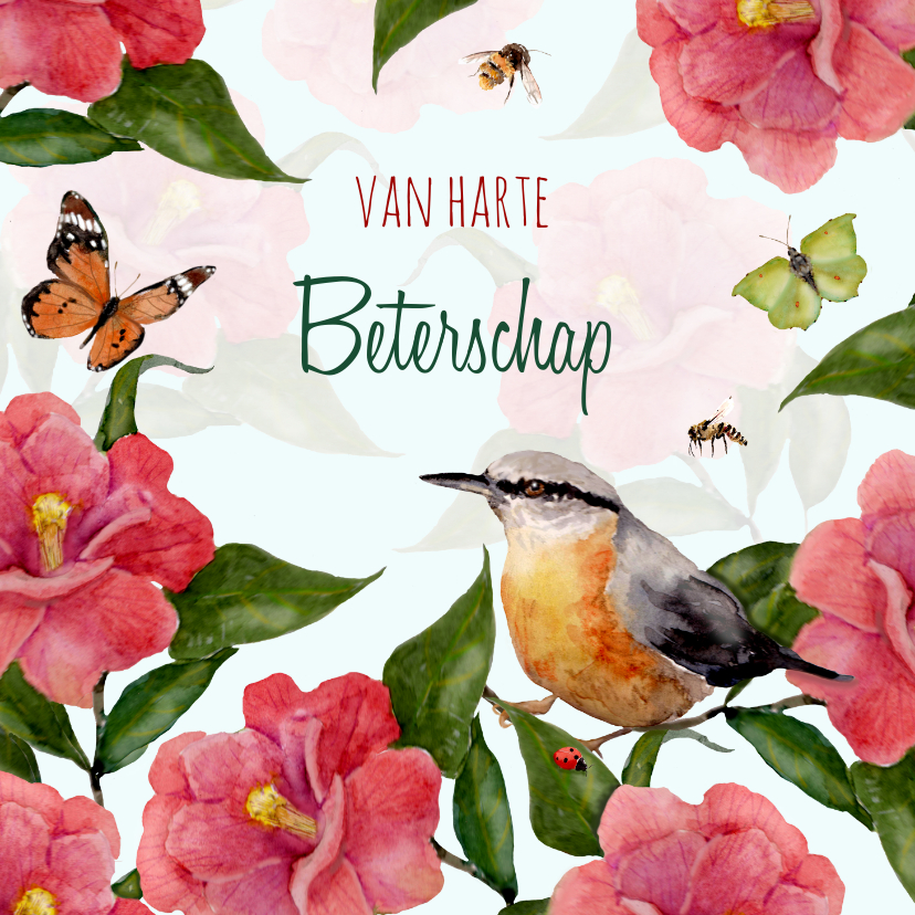 Beterschapskaarten - Beterschapskaart Vogel tussen fleurige bloemen