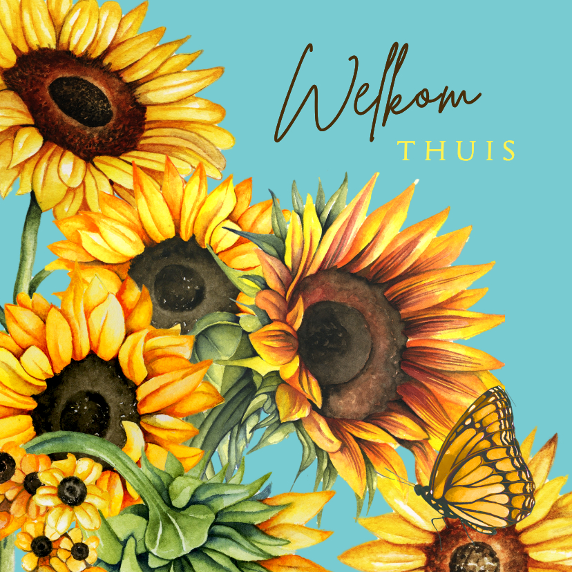 Beterschapskaarten - Beterschapskaart zonnebloemen 