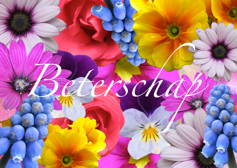 Bloemenzee - Beterschapskaarten Beterschapskaarten - Bloemenzee