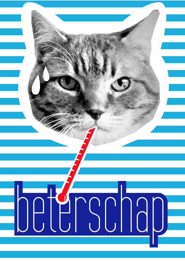 Brandal Beterschap - Beterschapskaarten Beterschapskaarten - Brandal Beterschap