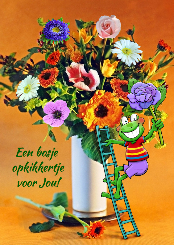 Een bosje opkikkertje voor Jou! - Beterschapskaarten Beterschapskaarten - Een bosje opkikkertje voor Jou!