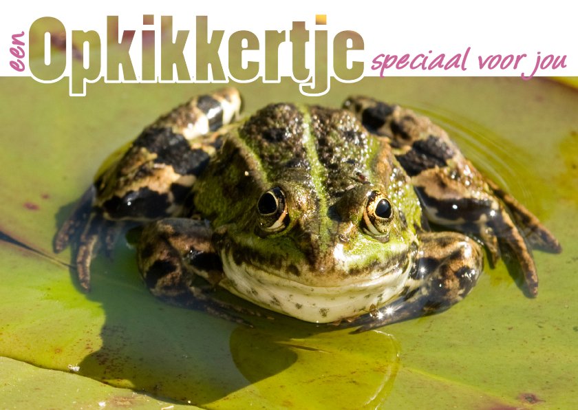 Een opkikkertje speciaal voor jou - Beterschapskaarten Beterschapskaarten - Een opkikkertje speciaal voor jou