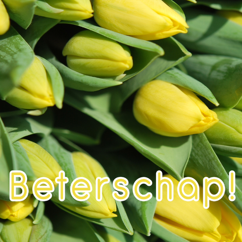 Fotokaart beterschap tulpen - Beterschapskaarten Beterschapskaarten - Fotokaart beterschap tulpen