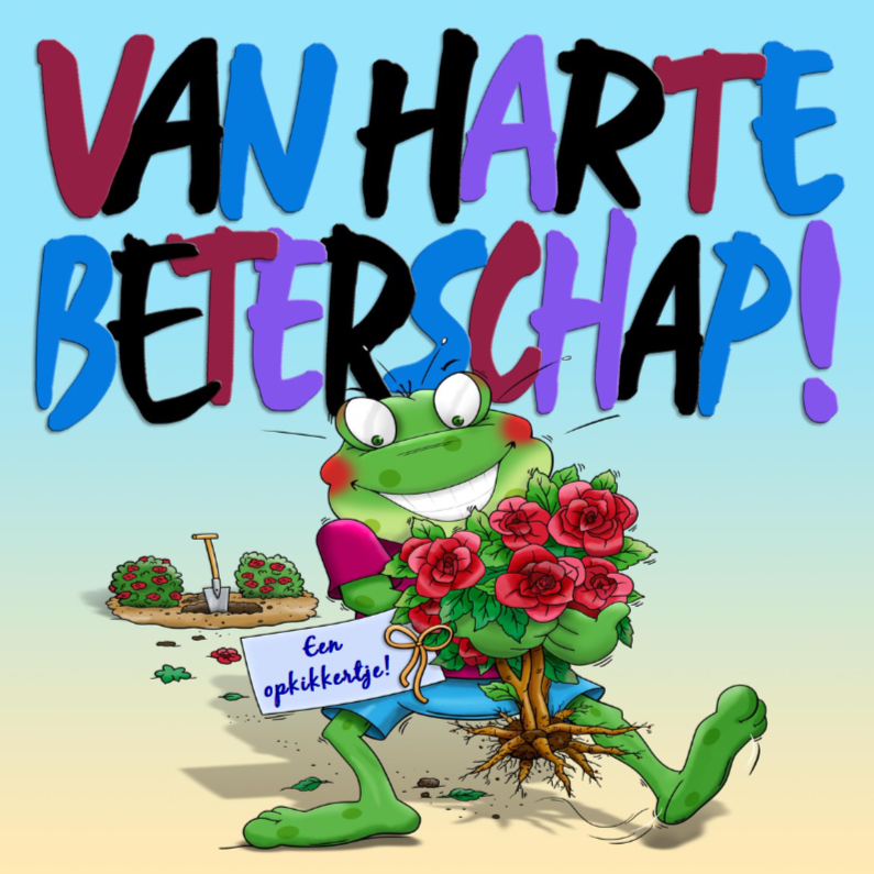 Grappig opkikkertje met bosje rozen - Beterschapskaarten Beterschapskaarten - Grappig opkikkertje met bosje rozen