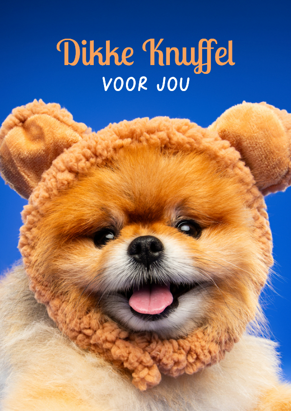 Grappige beterschapskaart dikke knuffel van klein hondje - Beterschapskaarten Beterschapskaarten - Grappige beterschapskaart dikke knuffel van klein hondje