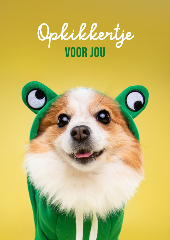 Grappige beterschapskaart van hond in kikkerpakje - Beterschapskaarten Beterschapskaarten - Grappige beterschapskaart van hond in kikkerpakje