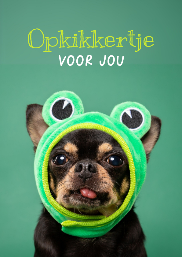 Beterschapskaarten - Grappige beterschapskaart van hond met kikkermutsje en tong
