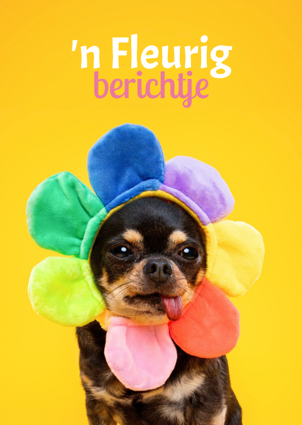Grappige beterschapskaart van hondje bloemenmuts - Beterschapskaarten Beterschapskaarten - Grappige beterschapskaart van hondje bloemenmuts