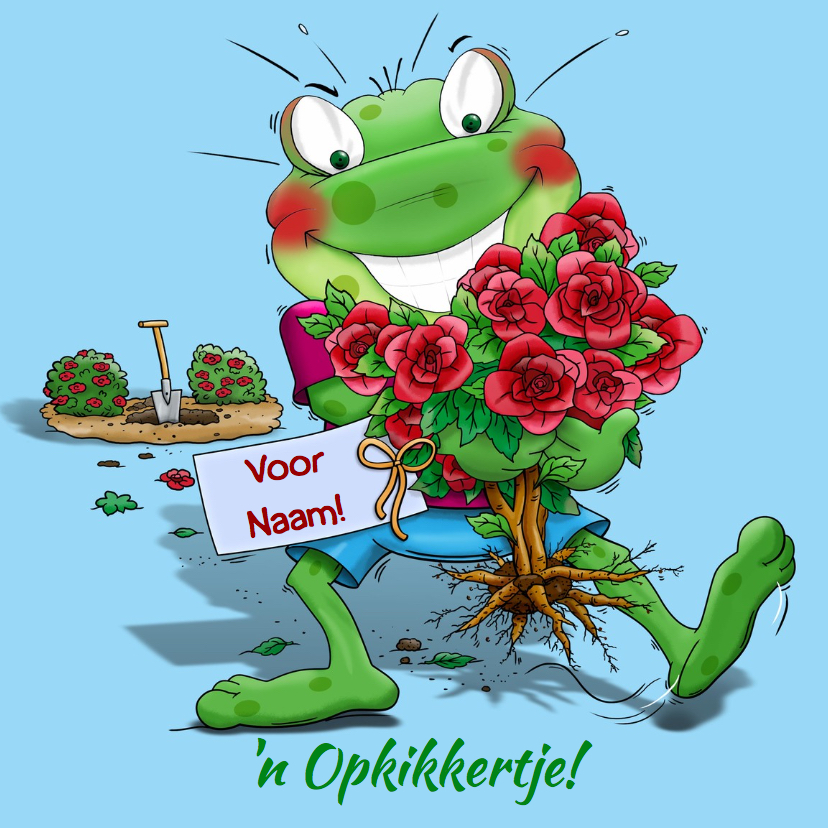 Leuk opkikkertje met rozenstruikje - Beterschapskaarten Beterschapskaarten - Leuk opkikkertje met rozenstruikje