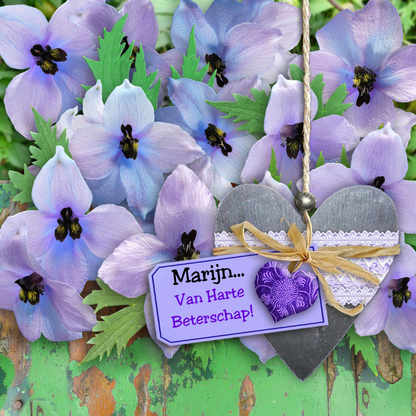 Leuke beterschapskaart 2 hartjes op blauwe bloemen - Beterschapskaarten Beterschapskaarten - Leuke beterschapskaart 2 hartjes op blauwe bloemen