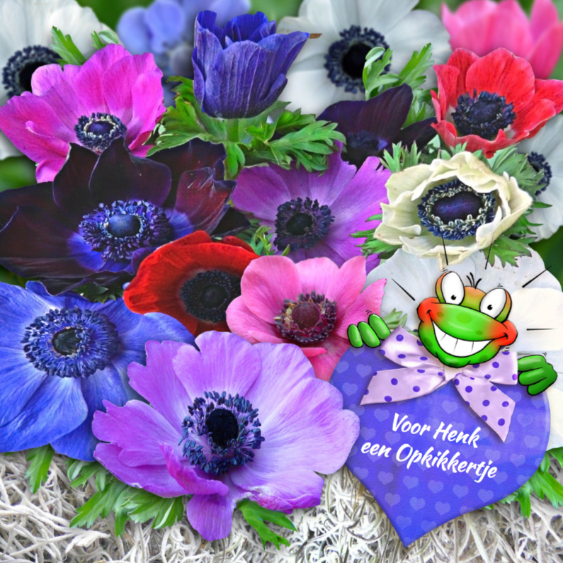 Leuke beterschapskaart anemonen met opkikker - Beterschapskaarten Beterschapskaarten - Leuke beterschapskaart anemonen met opkikker