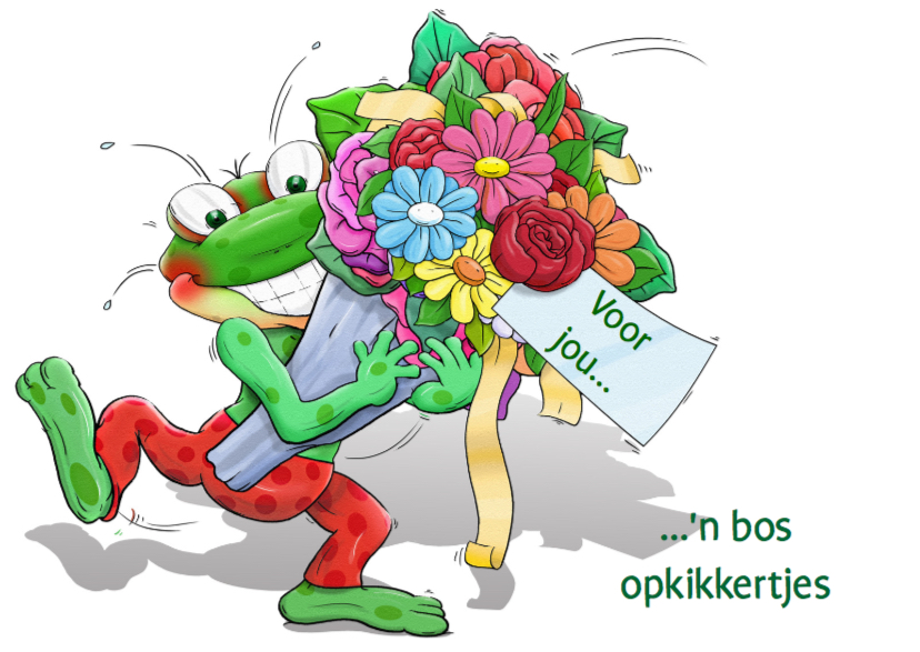 Leuke opkikker met grote bos bloemen - Beterschapskaarten Beterschapskaarten - Leuke opkikker met grote bos bloemen