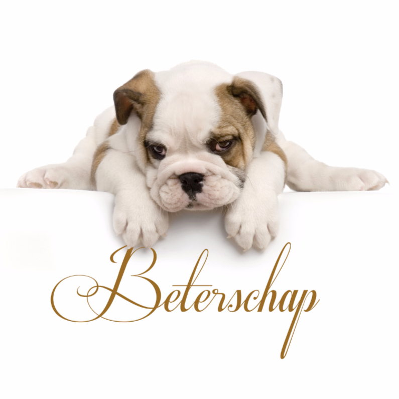 Lief moe hondje-isf - Beterschapskaarten Beterschapskaarten - Lief moe hondje-isf