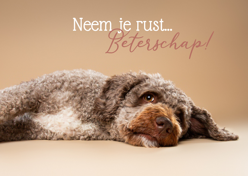 Lieve beterschapskaart liggend hondje met zielig kopje - Beterschapskaarten Beterschapskaarten - Lieve beterschapskaart liggend hondje met zielig kopje
