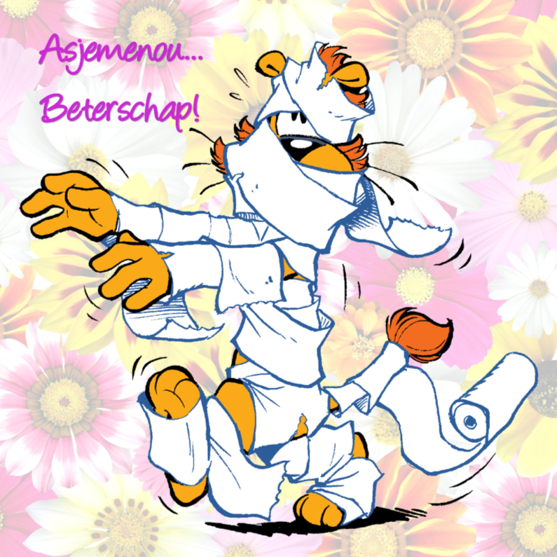 Loeki de Leeuw beterschap - Beterschapskaarten Beterschapskaarten - Loeki de Leeuw beterschap