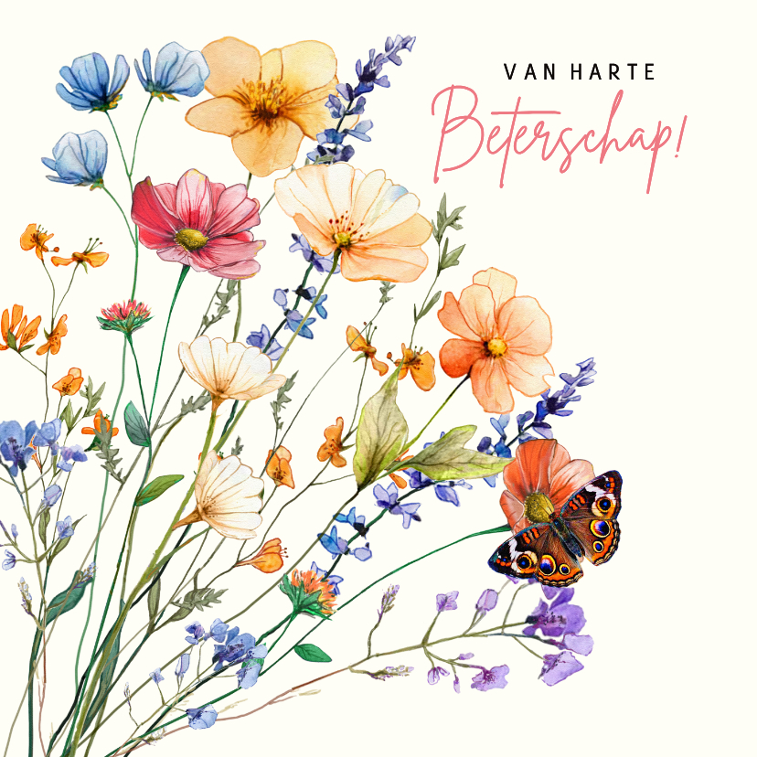 Mooie beterschapskaart met wilde bloemen en vlinders - Beterschapskaarten Beterschapskaarten - Mooie beterschapskaart met wilde bloemen en vlinders