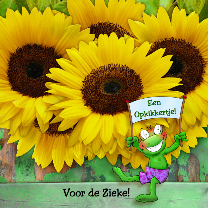 Opkikkertje met zonnebloemen en spandoek - Beterschapskaarten Beterschapskaarten - Opkikkertje met zonnebloemen en spandoek
