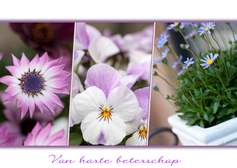 paarse bloemencollage - Beterschapskaarten Beterschapskaarten - paarse bloemencollage