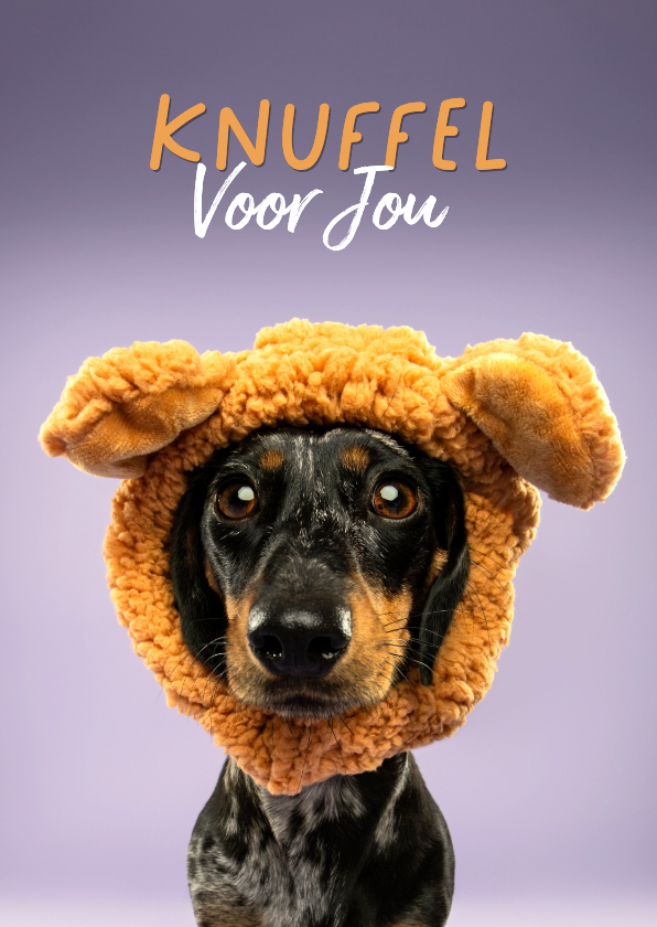Beterschapskaarten - Schattige beterschapskaart van teckel met berenmuts knuffel