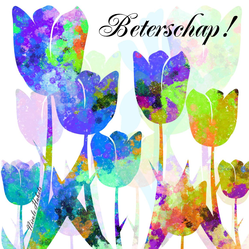 Tulpen beterschap - Beterschapskaarten Beterschapskaarten - Tulpen beterschap