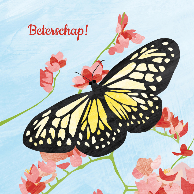Vlinder met bloemen - beterschap - Beterschapskaarten Beterschapskaarten - Vlinder met bloemen - beterschap