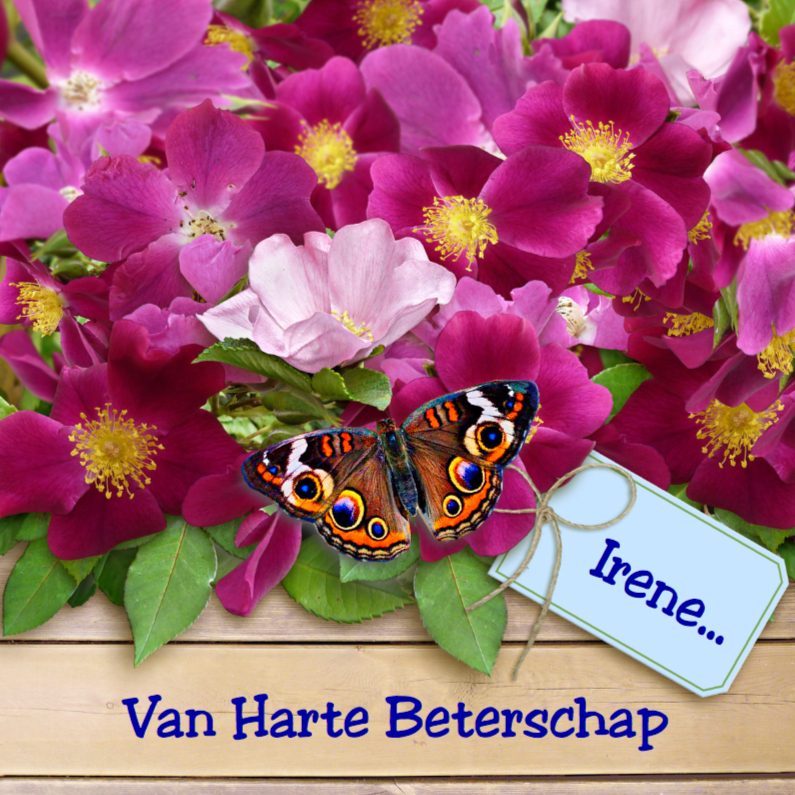 Warme beterschapskaart met wilde rozen en vlinders - Beterschapskaarten Beterschapskaarten - Warme beterschapskaart met wilde rozen en vlinders