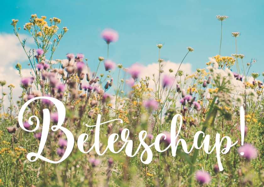 Wildbloemen - Beterschap - Beterschapskaarten Beterschapskaarten - Wildbloemen - Beterschap