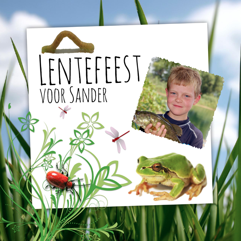 Insecten en kikker-isf - Communiekaarten Communiekaarten - Insecten en kikker-isf