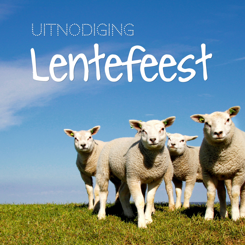 Lentefeest lammetjes eigen foto - Communiekaarten Communiekaarten - Lentefeest lammetjes eigen foto