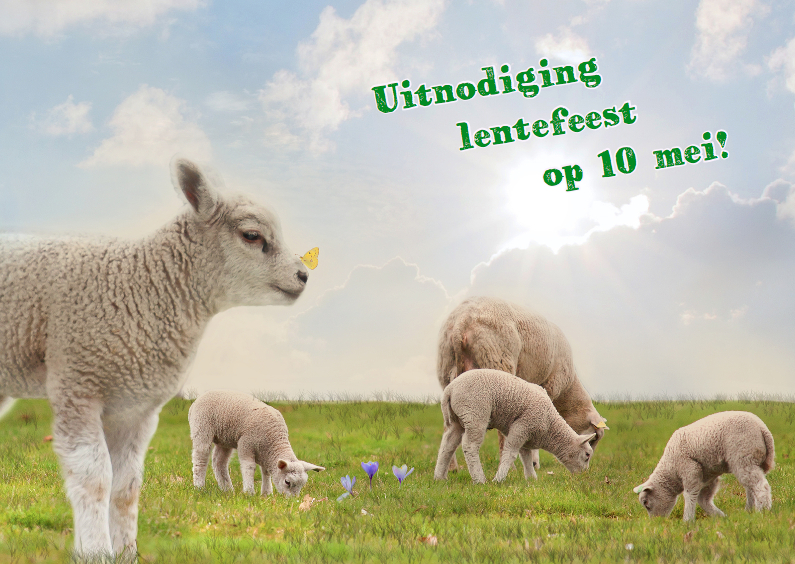 Lentefeest met lammetjes - Communiekaarten Communiekaarten - Lentefeest met lammetjes