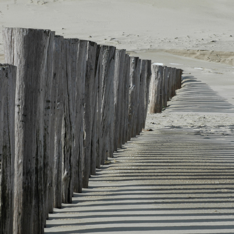 4K strandpalen werpen een schaduw - Condoleancekaarten Condoleancekaarten - 4K strandpalen werpen een schaduw