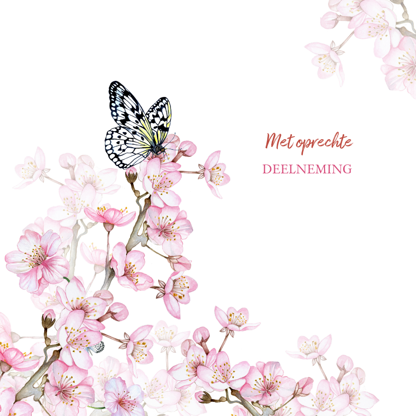 Condoleancekaarten - Bloesemtakken voorjaar vlinder