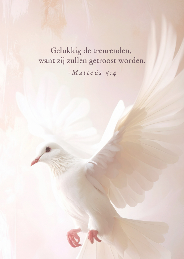 Christelijke condoleance kaart met witte duif - Condoleancekaarten Condoleancekaarten - Christelijke condoleance kaart met witte duif