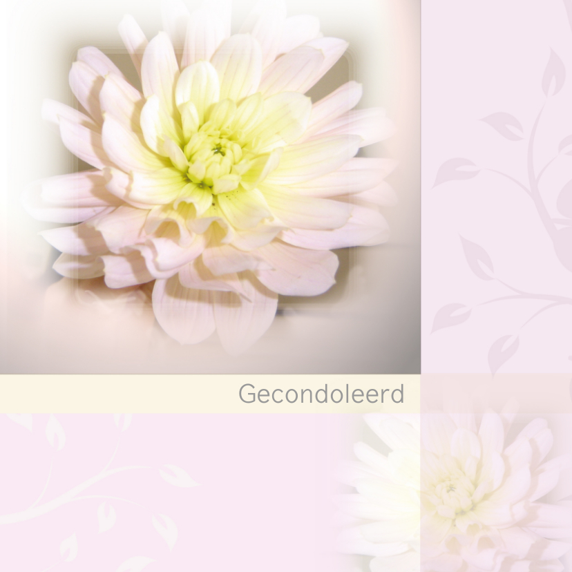 Condoleancekaarten - Condoleance dahlia