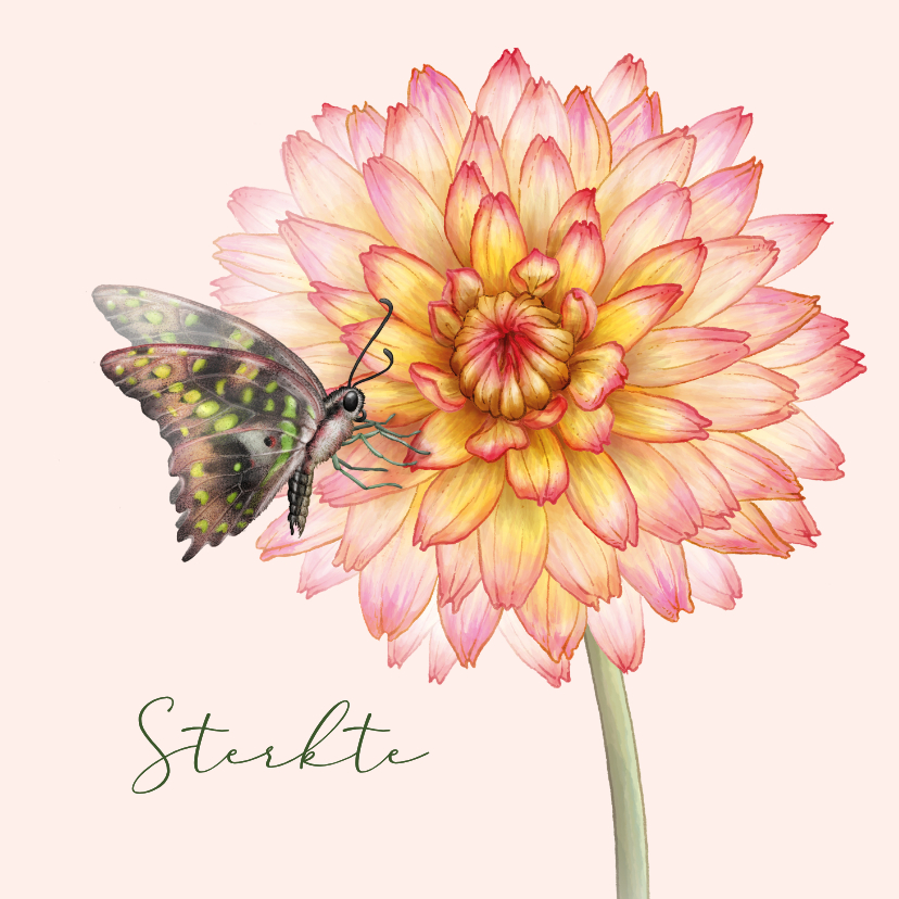 Condoleancekaarten - Condoleance kaart dahlia vlinder bloem