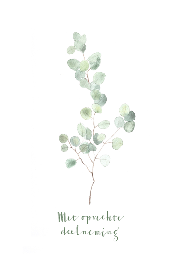 Condoleance kaart met eucalyptus tak - natuur - Condoleancekaarten Condoleancekaarten - Condoleance kaart met eucalyptus tak - natuur