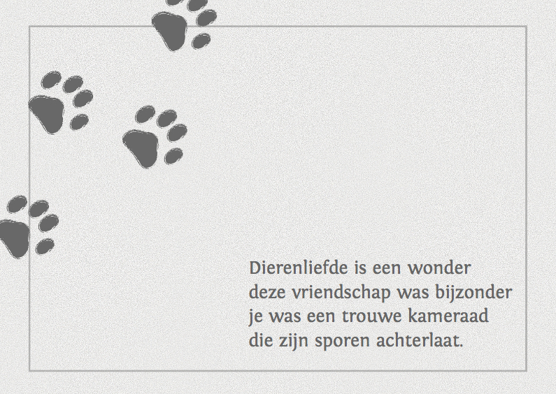 Condoleance kaart voor een hond of poes - Condoleancekaarten Condoleancekaarten - Condoleance kaart voor een hond of poes