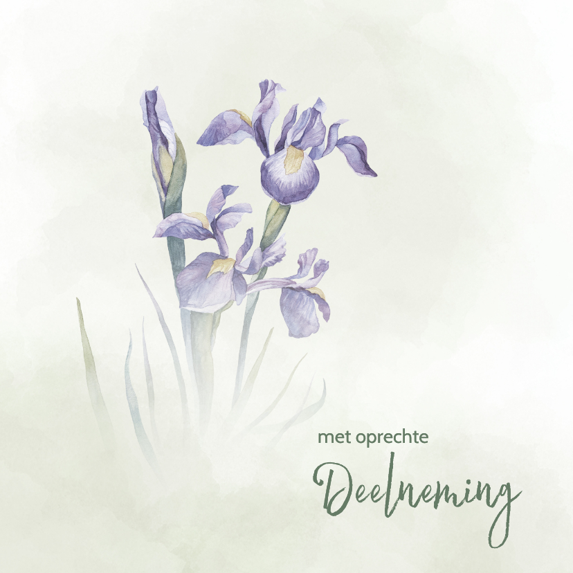 Condoleancekaarten - Condoleance met blauwe Iris