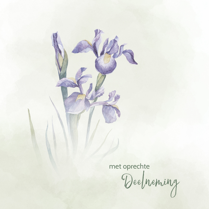 Condoleancekaarten - Condoleance met blauwe Iris