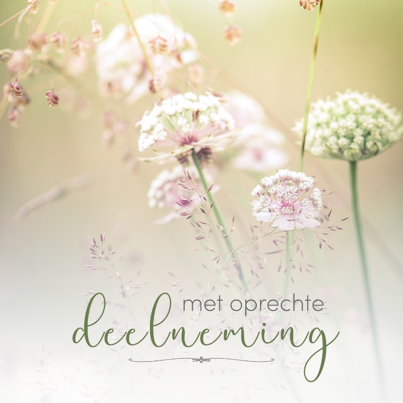 Verwonderend Condoleance- met oprechte deelneming bloemen 2 | Kaartje2go AO-35