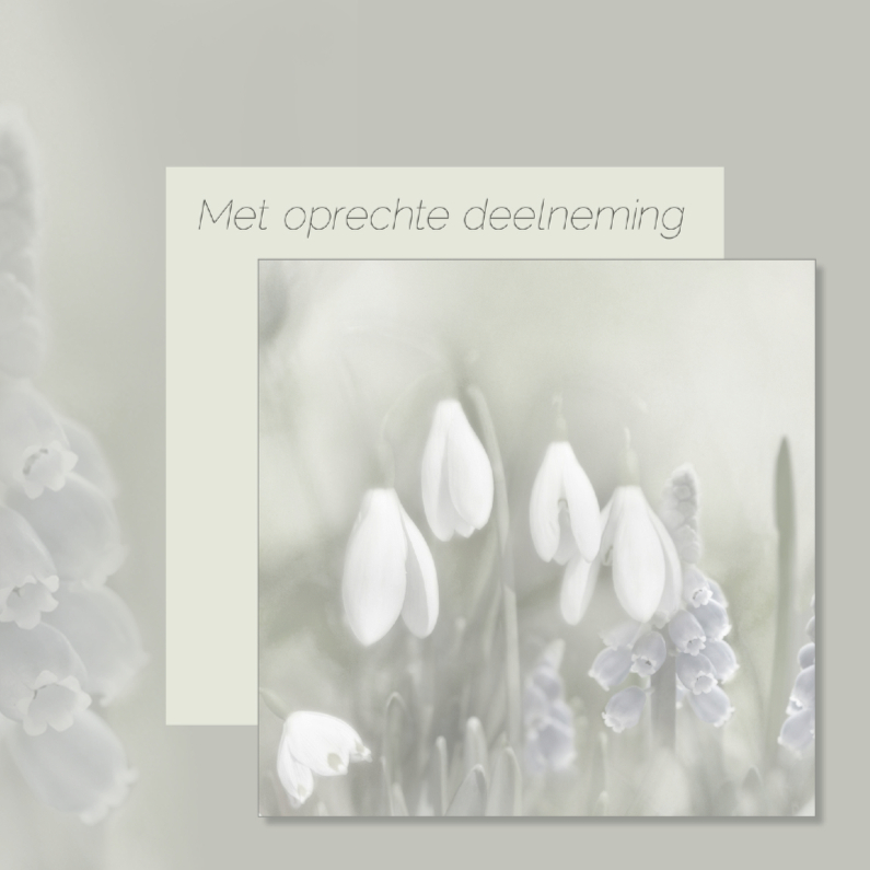 Condoleance met voorjaarsbloemen - Condoleancekaarten Condoleancekaarten - Condoleance met voorjaarsbloemen
