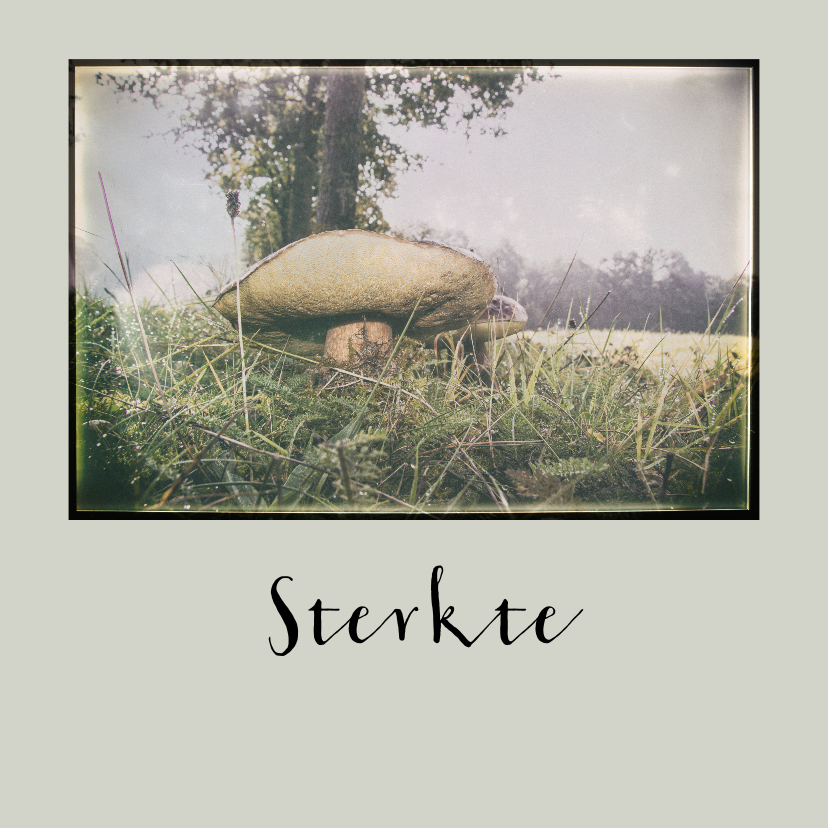 Condoleancekaarten - Condoleance natuur