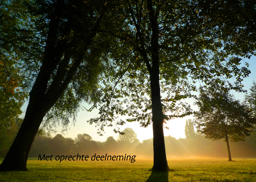 Condoleance stemmige bomen - Condoleancekaarten Condoleancekaarten - Condoleance stemmige bomen